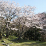 浅野公園